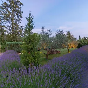  Villa Kate Istria